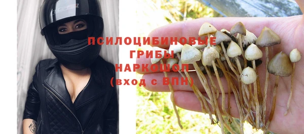 a pvp Абдулино