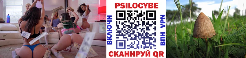 ссылка на мегу сайт  Домодедово  Псилоцибиновые грибы Psilocybine cubensis  где купить наркоту 